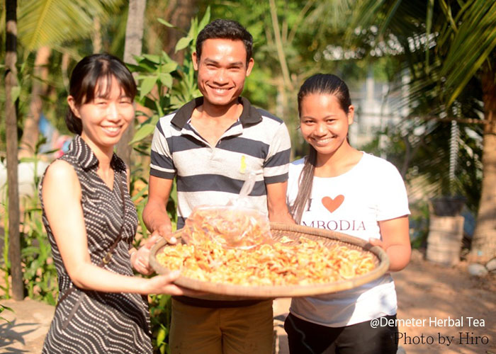 カンボジア 伝統医療とハーブから学ぶ社会企業の国際貢献活動3泊5日