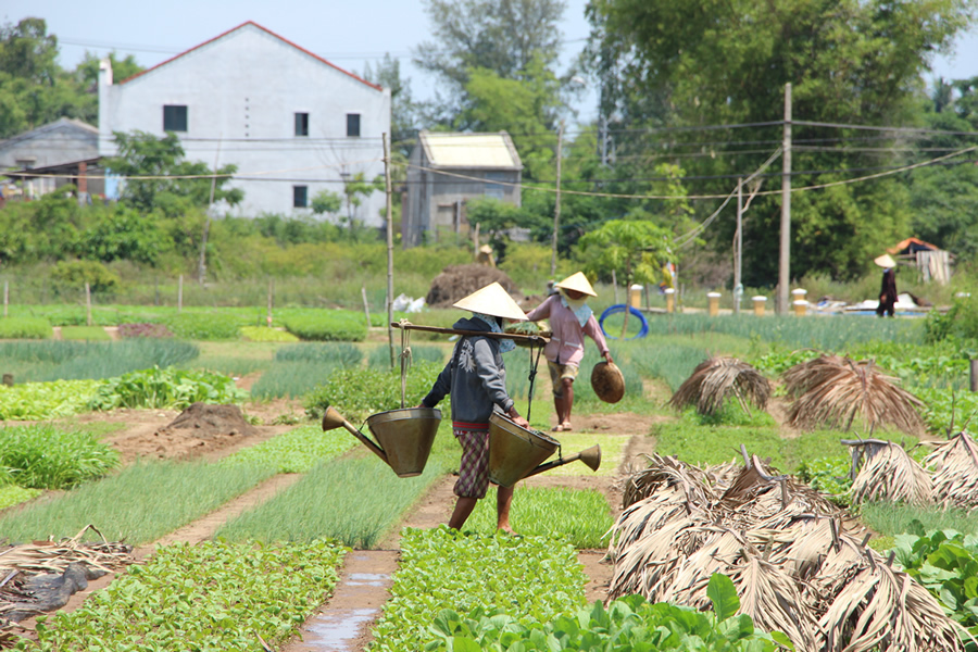伝統的な農法を守り続けるチャークエ村