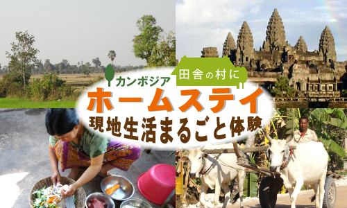 田舎の村にホームステイ&現地生活まるごと体験 イメージ