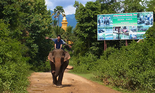 ラオス象使いツアー