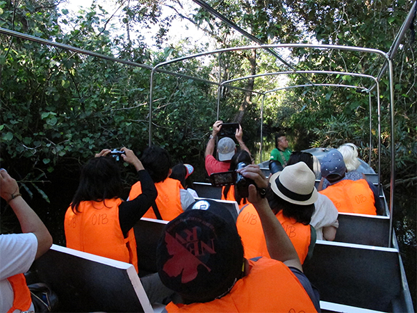テングザルに出会うリバークルーズ