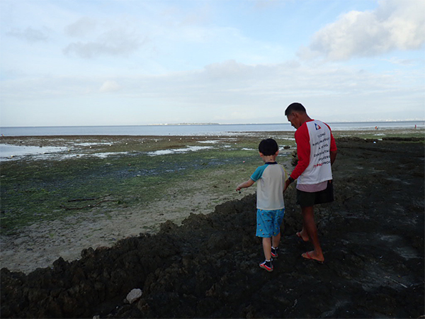 ●海の生き物を発見！磯歩き