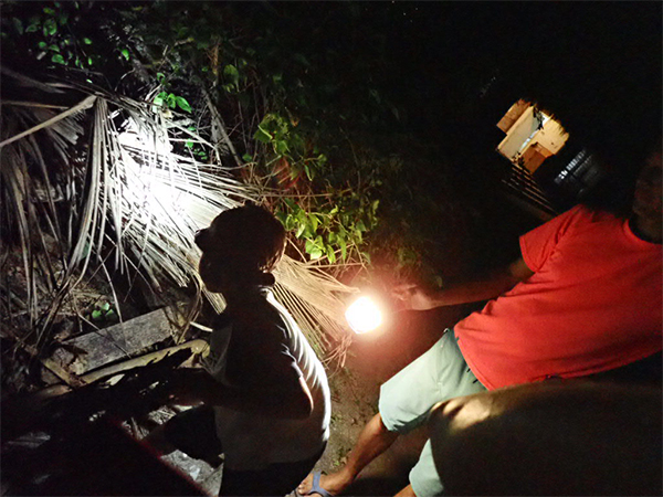 ●夜の島で、日本にはいない生き物を探せ！