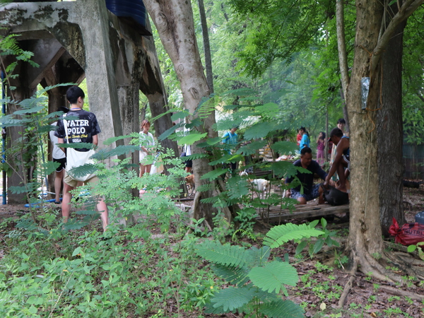 ●自然とのふれあい多数!